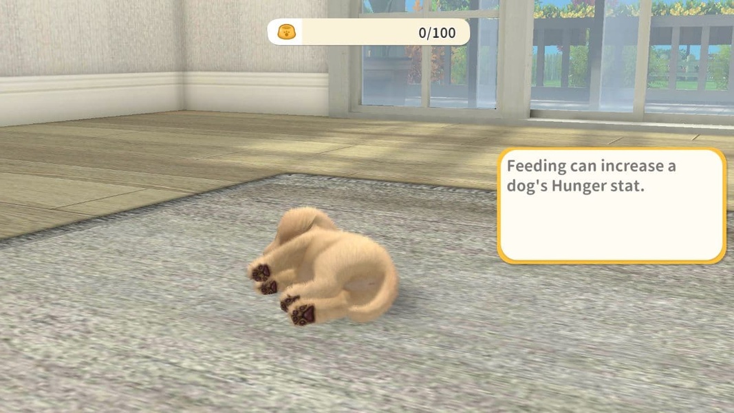 My Dog - Preview 7