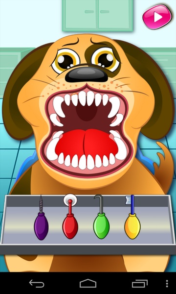 Animal Dentist Office - Preview 5