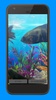 Oscar Fish Aquarium Video 3D screenshot 1