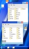 Windows file manager screenshot 2