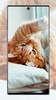 Cute Cat Wallpaper screenshot 10