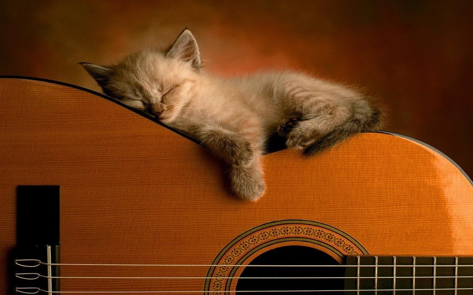 Como aprender Guitarra - Preview 2