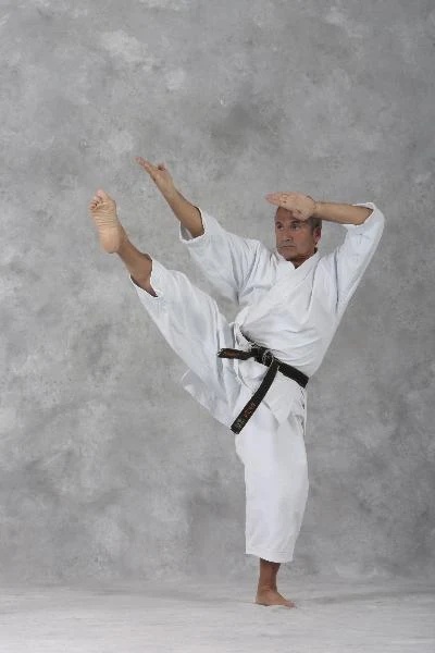 Karate - Preview 2
