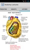 Anatomy Lectures screenshot 2