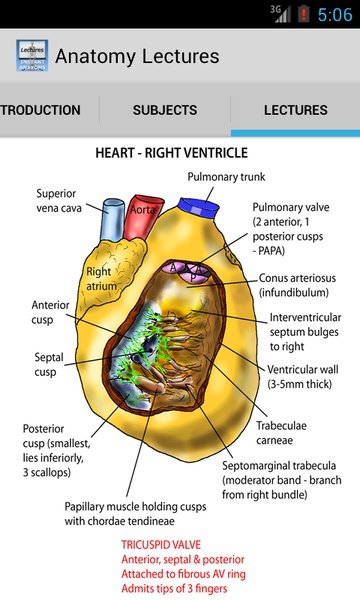 Anatomy Lectures - Preview 2