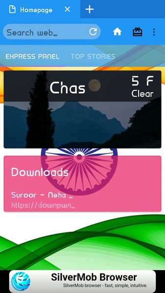 Hindustan Browser - Preview 6