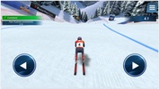 Winter Sports Mania screenshot 4