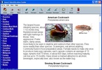 Insect Identification Guide screenshot 4