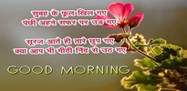 Hindi Good Morning Greeting screenshot 4