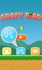 Crazy Birdz screenshot 1
