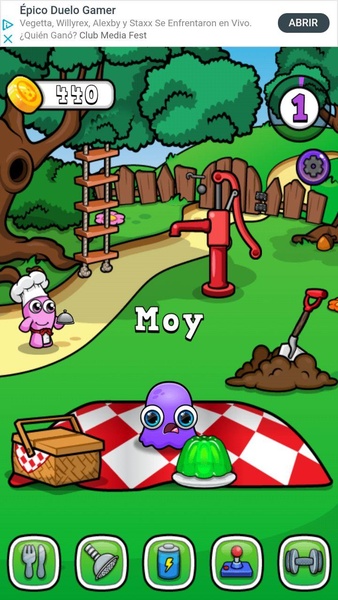 Moy 7 - Preview 6
