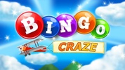 Bingo Craze screenshot 7