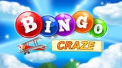 Bingo Craze screenshot 7