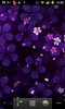Sakura Falling Live Wallpaper screenshot 2
