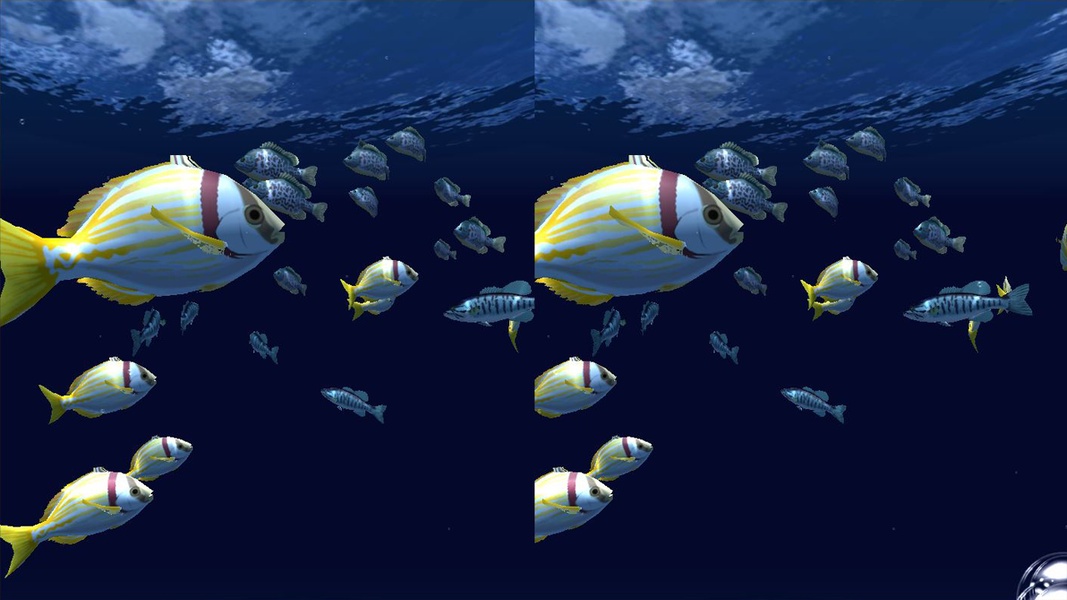 Fish Schooling - Preview 5
