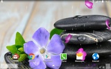 Garden Zen Live Wallpaper screenshot 3