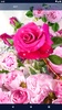 Pink Rose 4K Live Wallpaper screenshot 1