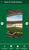 Papeis de parede de Palmeiras screenshot 4