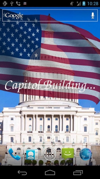 United States Flag - Preview 9