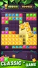 Block Puzzle screenshot 14