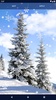 Winter Forest Snow Wallpapers screenshot 3