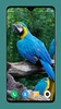 Parrot Wallpapers 4K screenshot 1