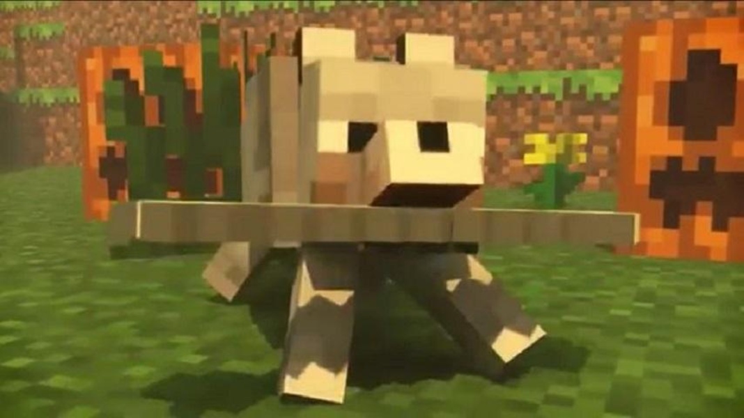 Pets Ideas Minecraft - Preview 1
