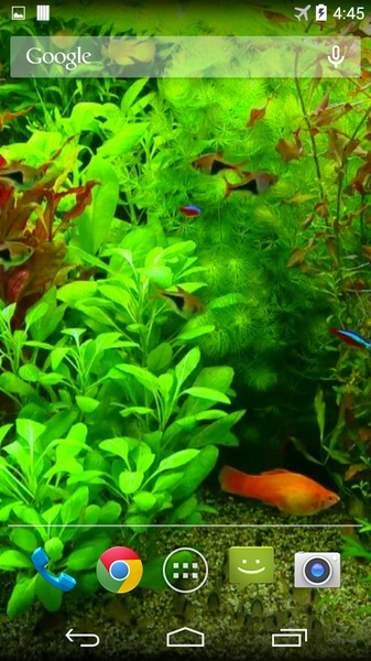 Real Aquarium 3D Wallpaper - Preview 4
