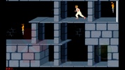 Prince Of Persia 1 screenshot 4