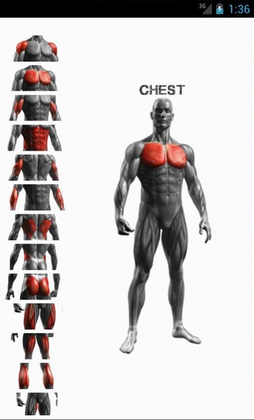 GYM Trainer - Preview 5