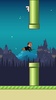 Flappy Duy screenshot 3