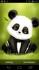 Panda Bobble Head Live Wallpaper Free screenshot 2