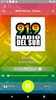 Radio del Sur - Chepes screenshot 3