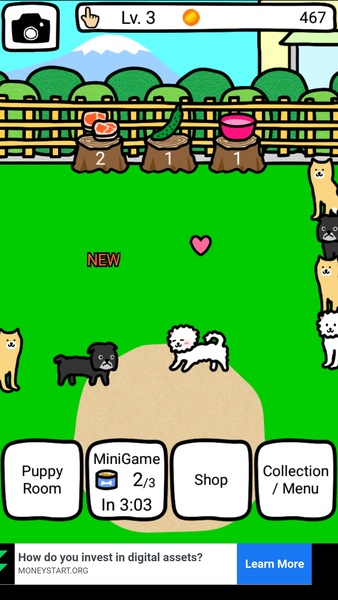 Play with Dogs - Preview 7