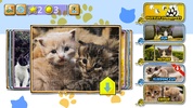 Jigsaw Puzzle Cats Kitten screenshot 3