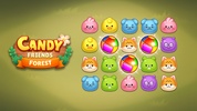 Candy Friends Forest screenshot 2