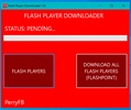 FLASH PLAYER DOWNLOADER screenshot 1