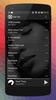 Music Player by Perfect Media screenshot 2