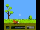 Duck Shoot screenshot 6