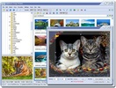 FastStone Image Viewer screenshot 1