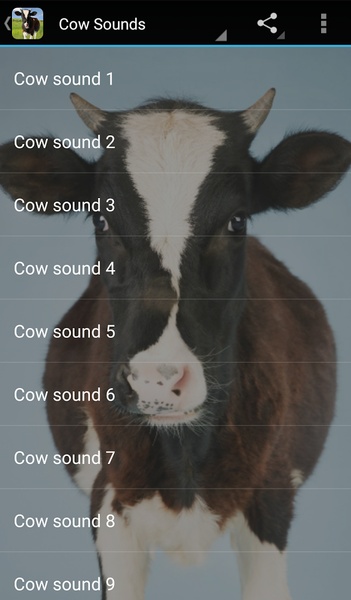 Cow Sounds - Preview 1