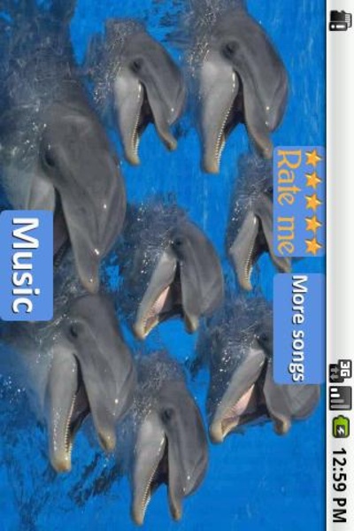 Dolphins - Sound to relax - Preview 5
