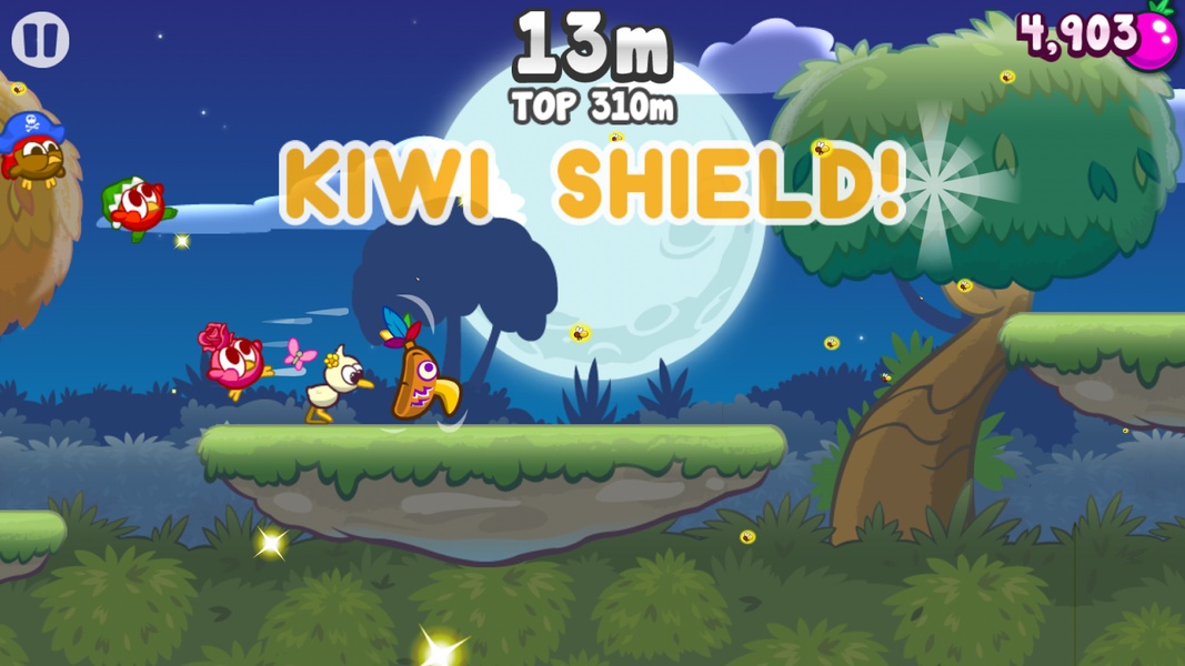 Kiwi Run - Preview 6
