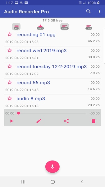 Audio Recorder Pro - Preview 1
