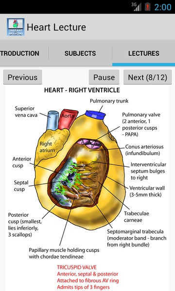 Heart Lecture - Preview 5