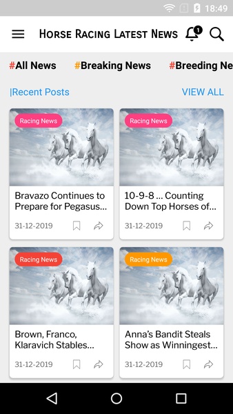 Horse Racing Latest News - Preview 8