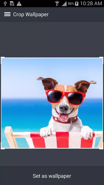 Cute Puppy Wallpapers - Preview 4