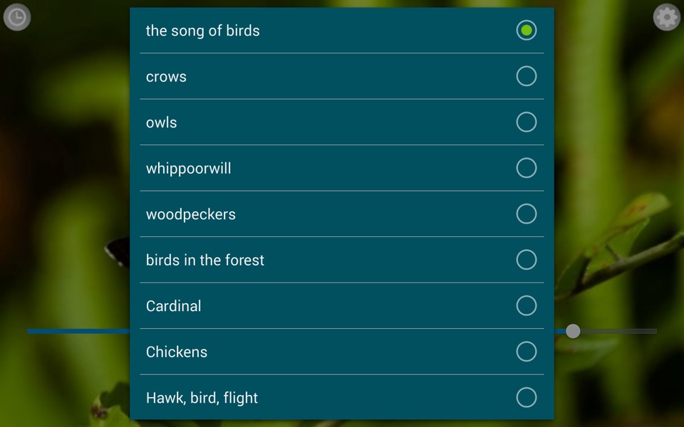Birds Calls Sounds - Preview 7