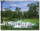 AboutGolf World Tours 20 screenshot 1