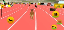 Dog Race 2019 screenshot 5